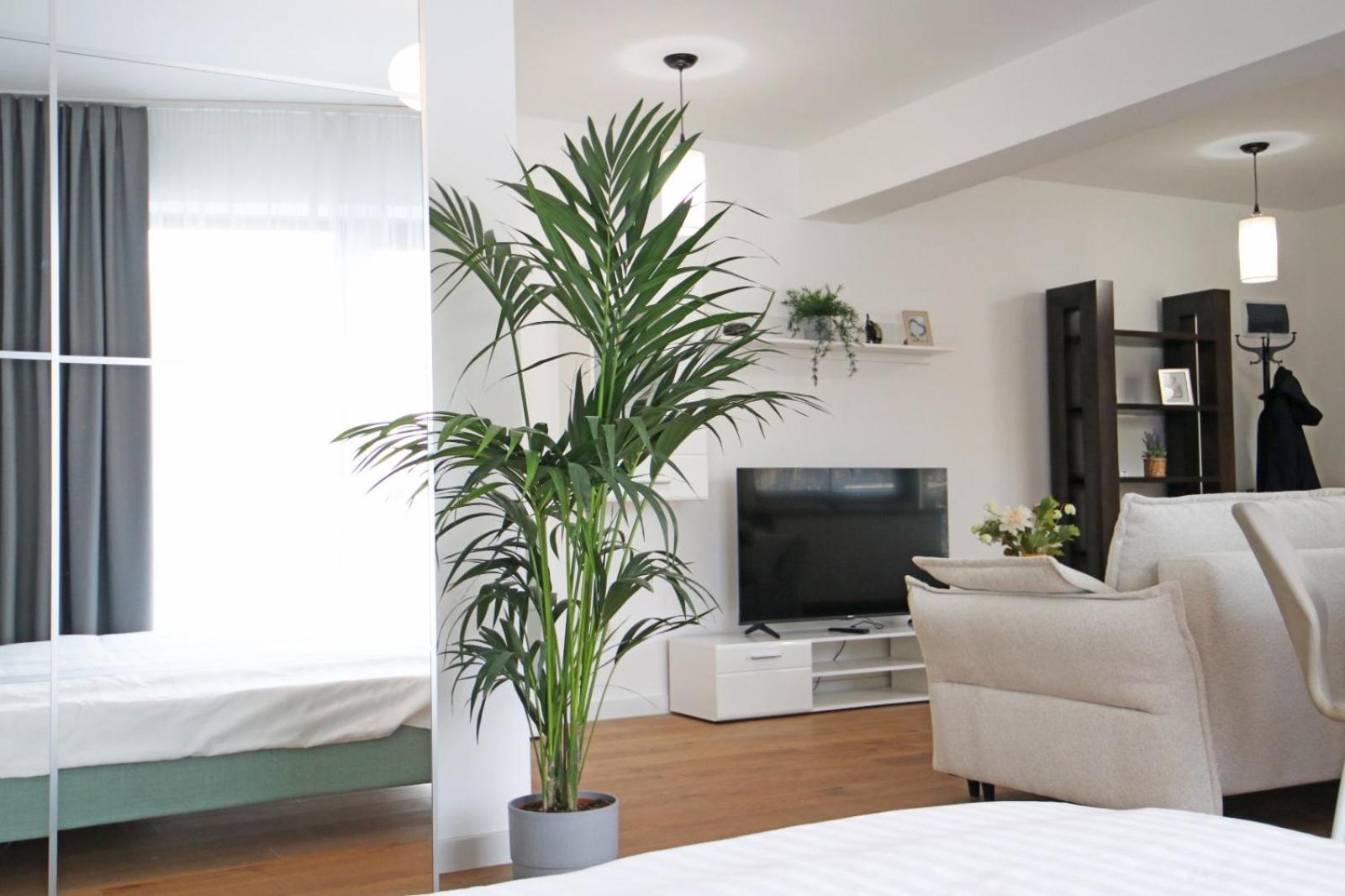 Nicolae Caramfil Apartment