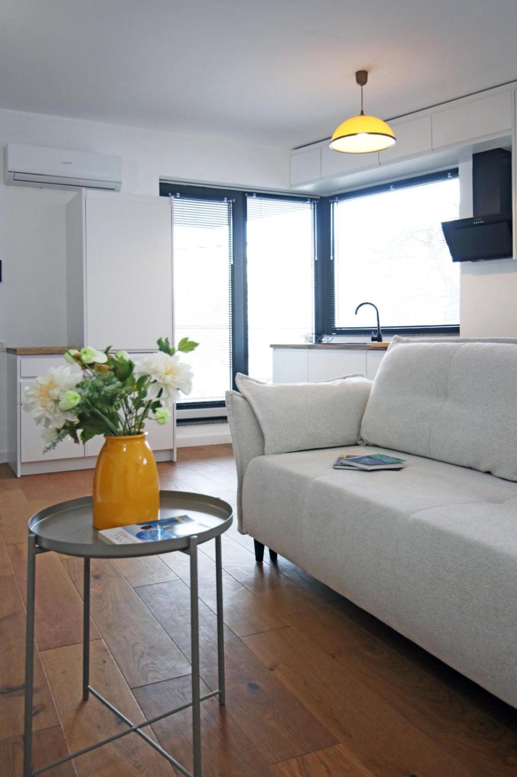 Nicolae Caramfil Apartment Bucharest