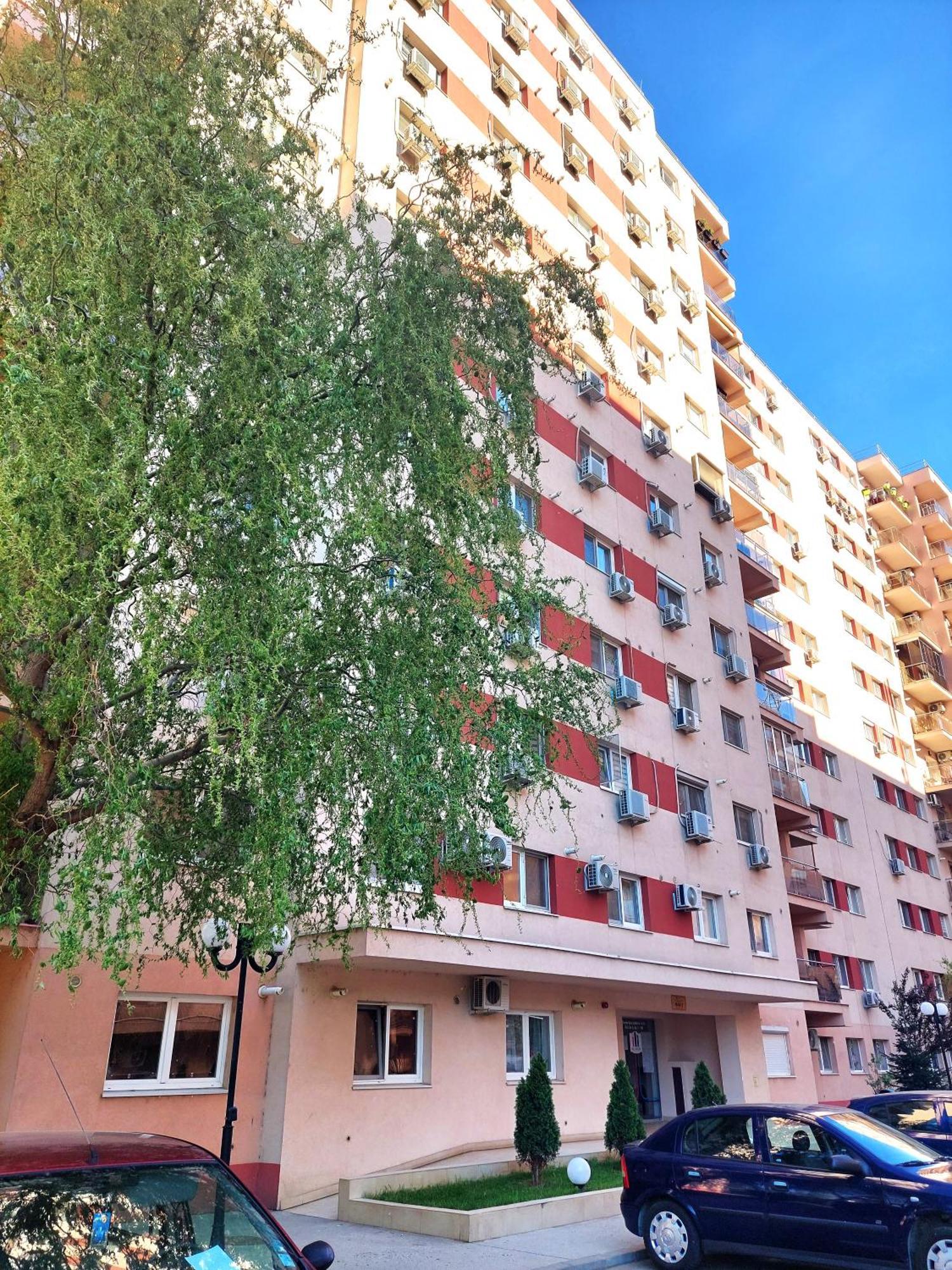 Paladis - Free Parking *