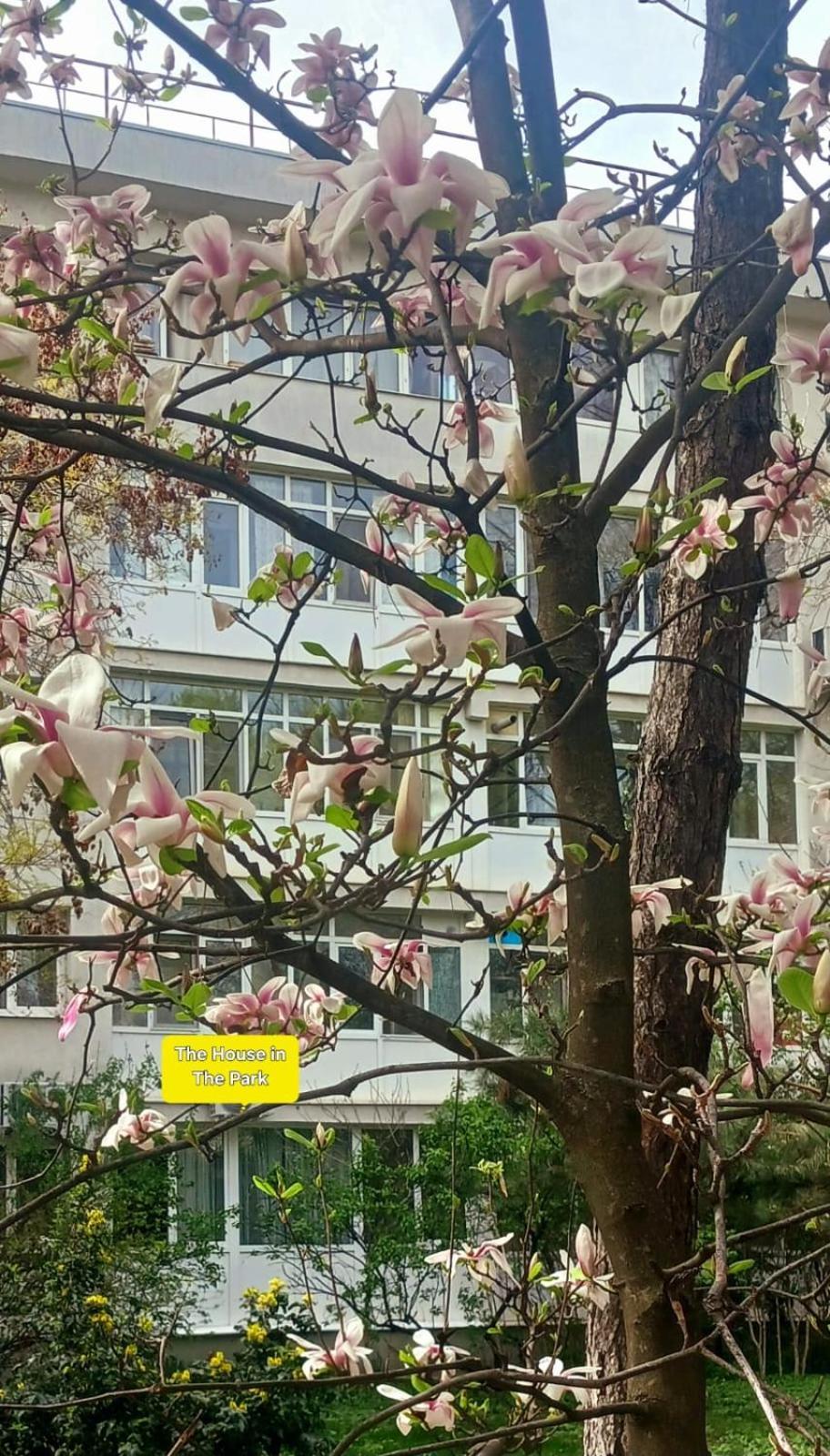 The House In The Park Apartment Bucharest
