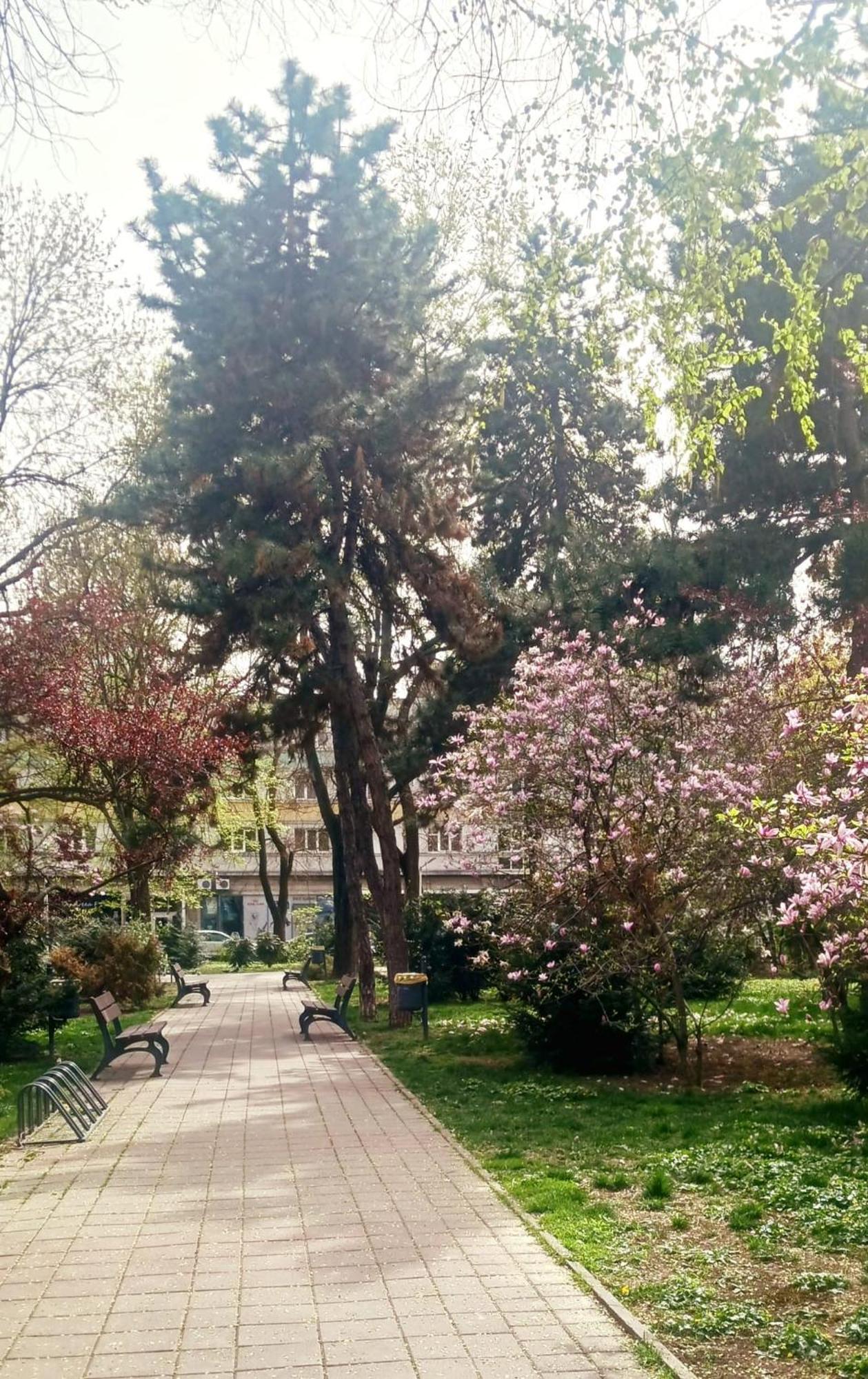 Apartment The House In The Park *