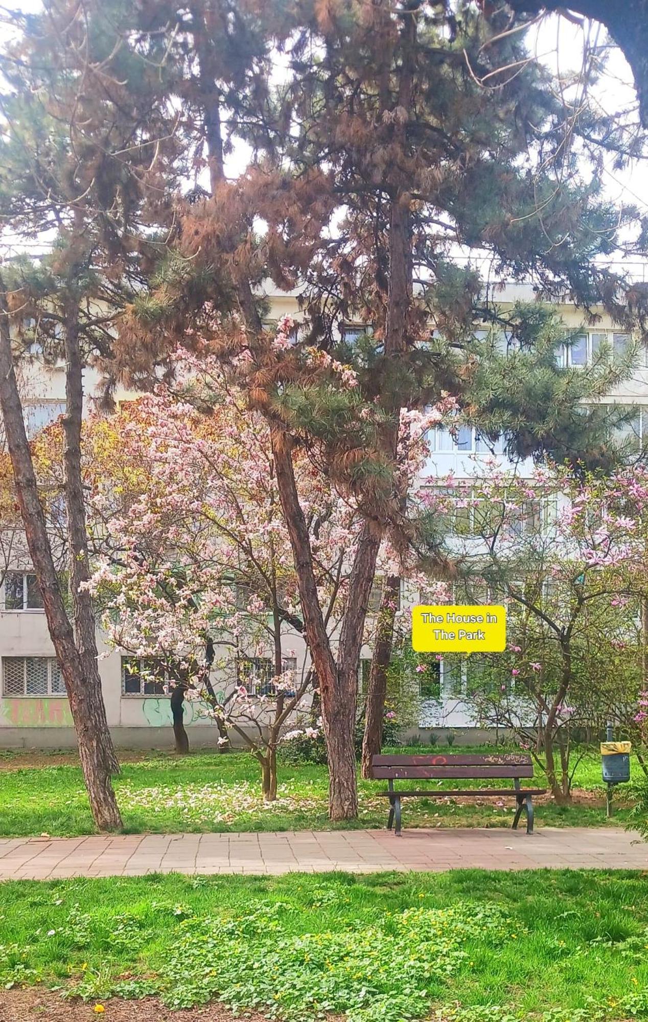 The House In The Park Apartment