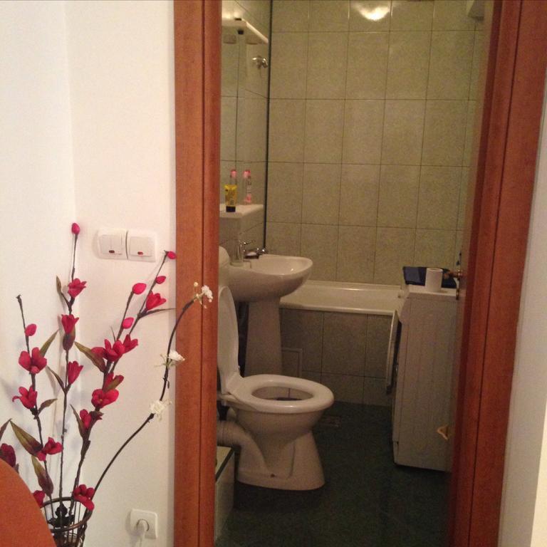 Floreasca Apartment *