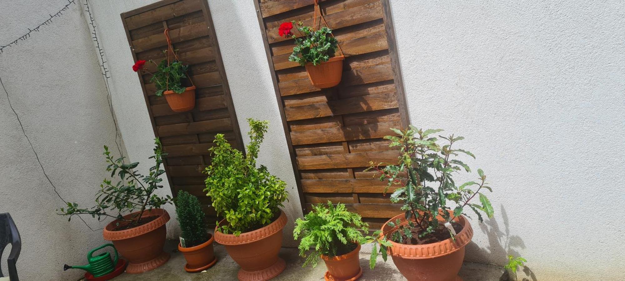 Zen Garden Apartment Bucharest