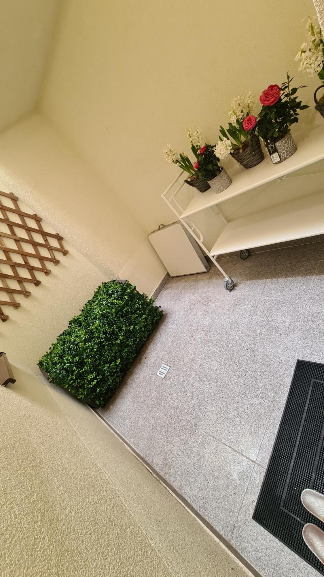 Zen Garden Apartment
