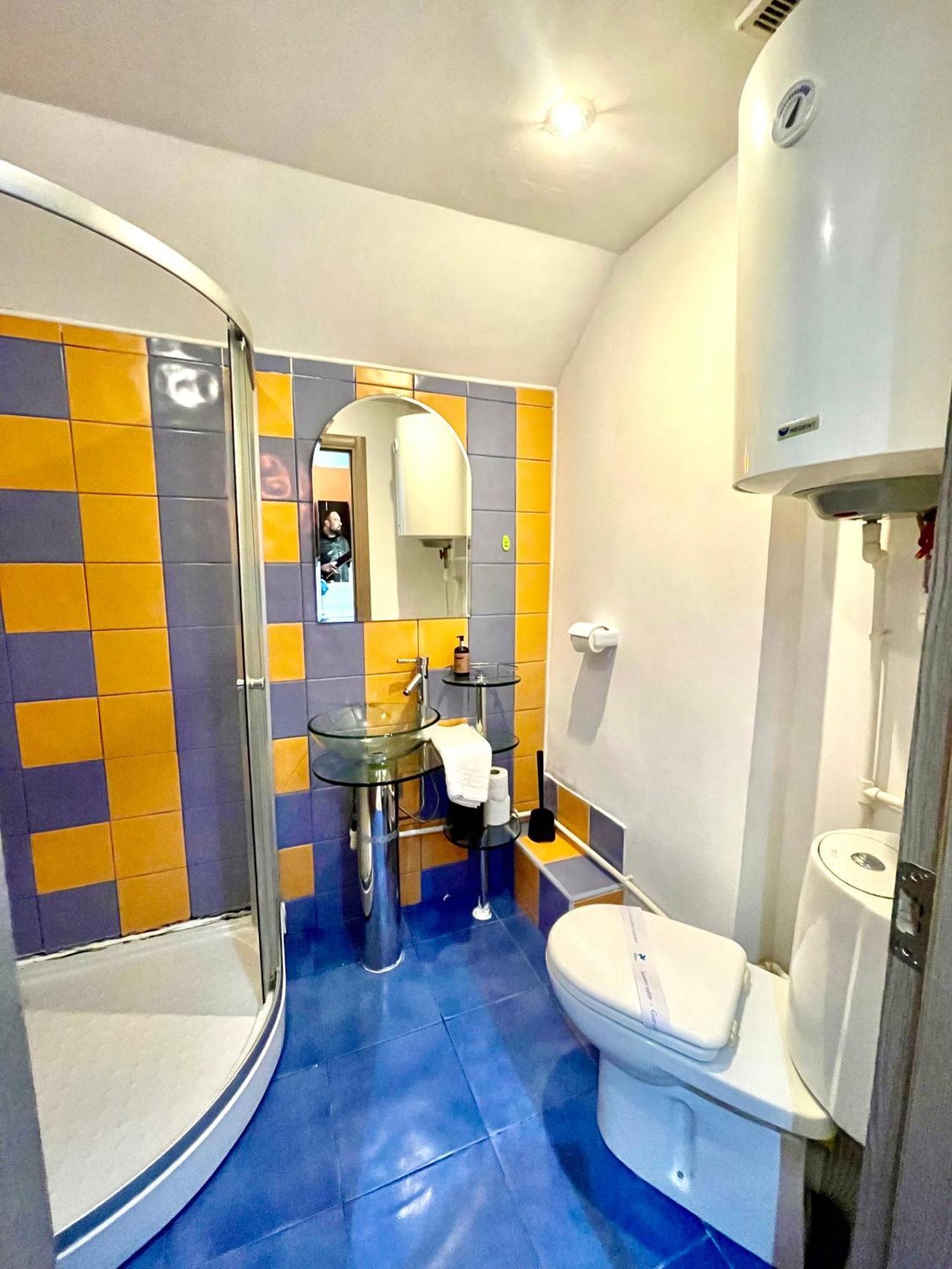Apartment Old Tonitza Bucharest