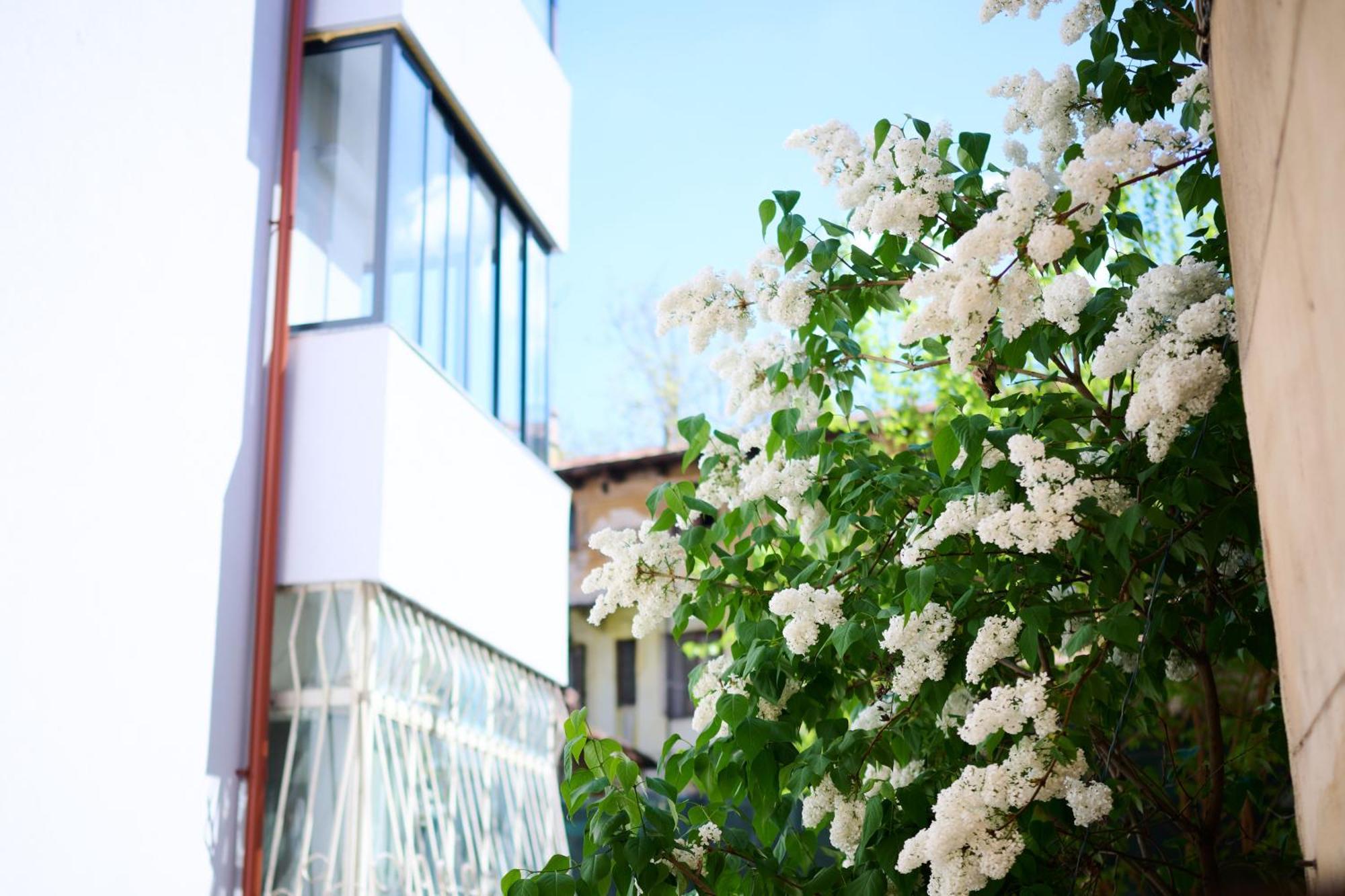 Old Town Oasis - Ap 10 Bucureşti