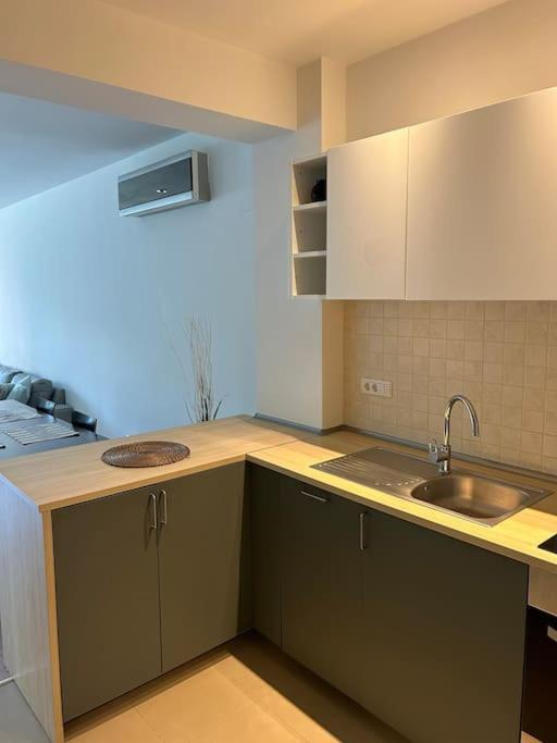 Apartment Mosh Herastrau