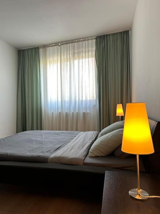 Apartment Mosh Herastrau *