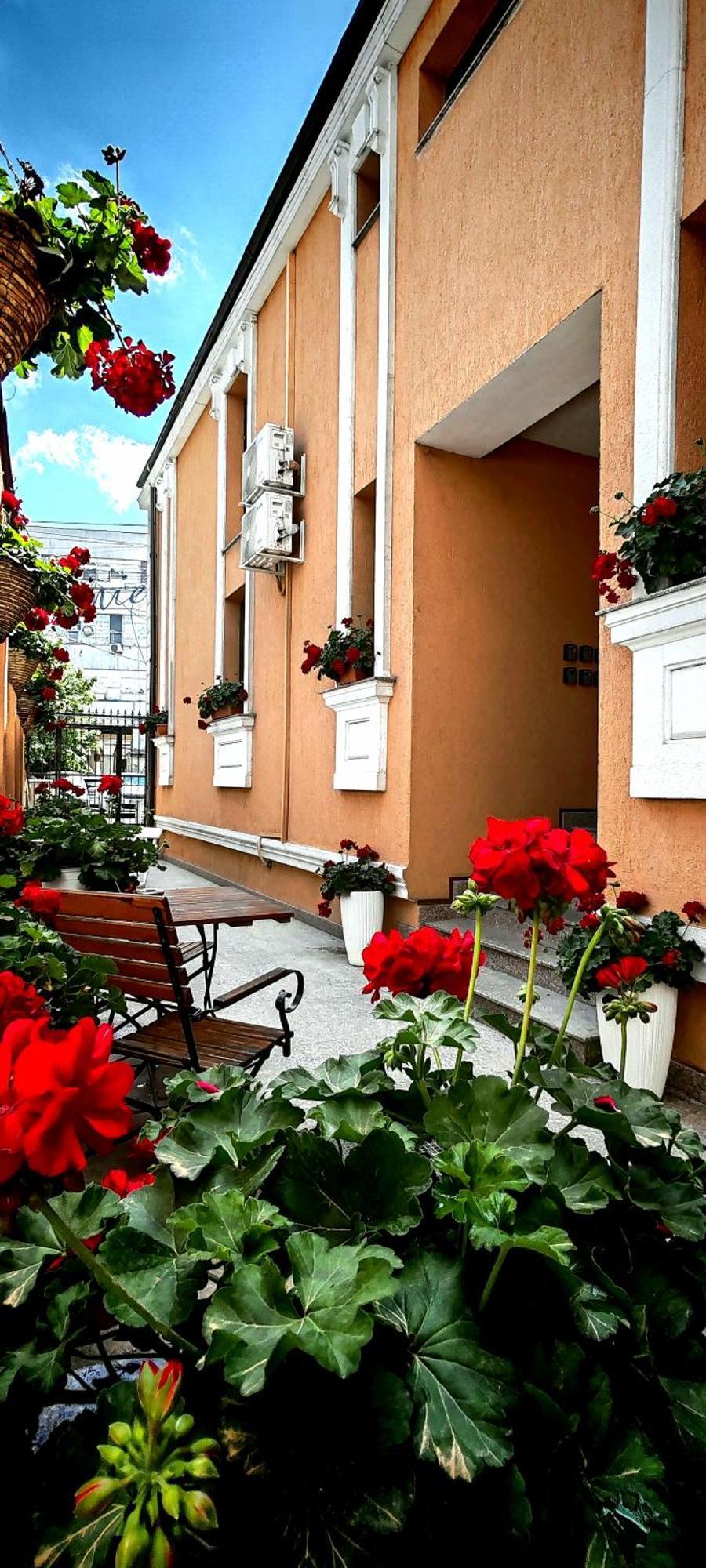 Bucur 9 Guest house 3*