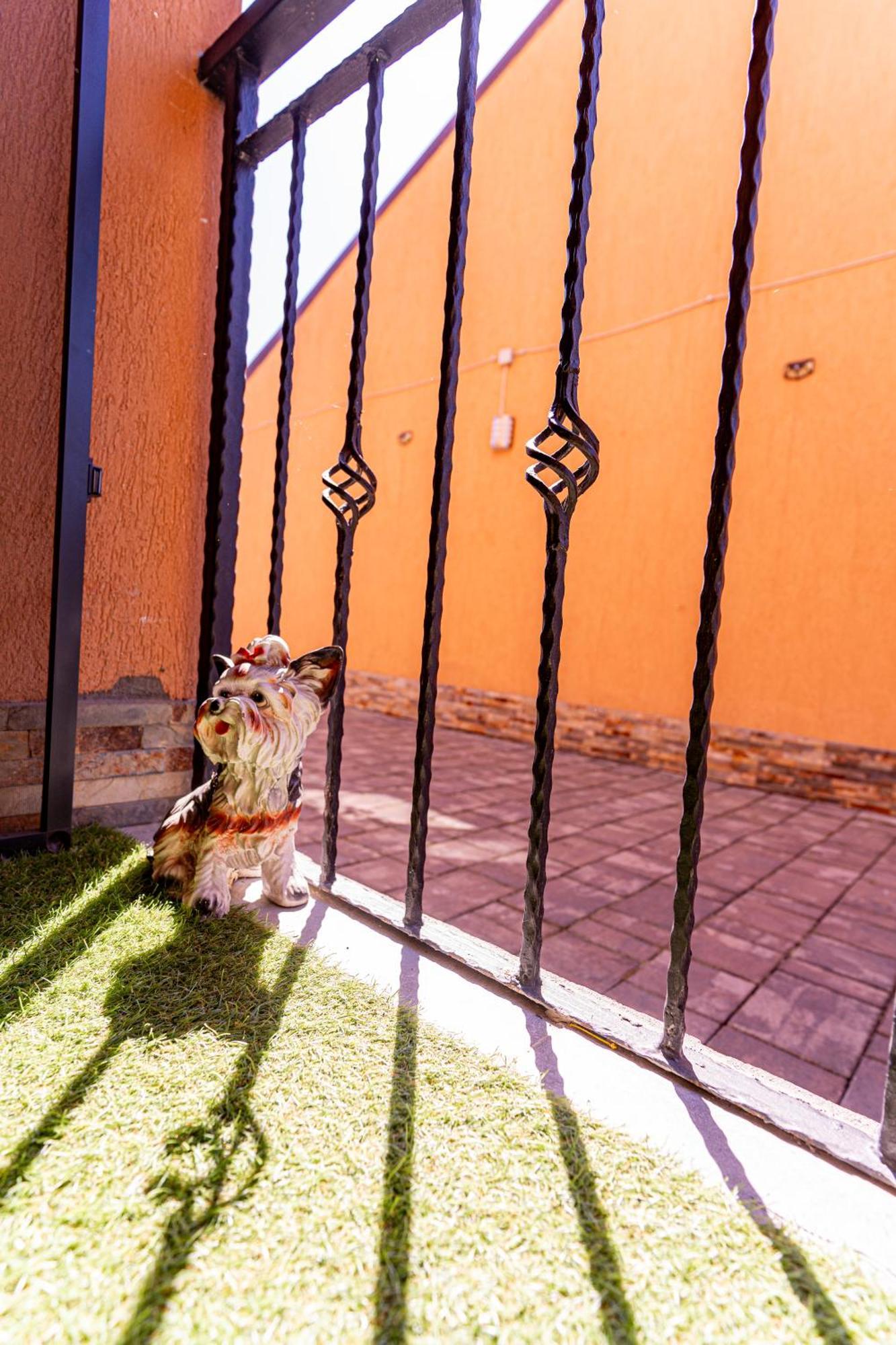 Casa Darya-24h Check-in Homestay