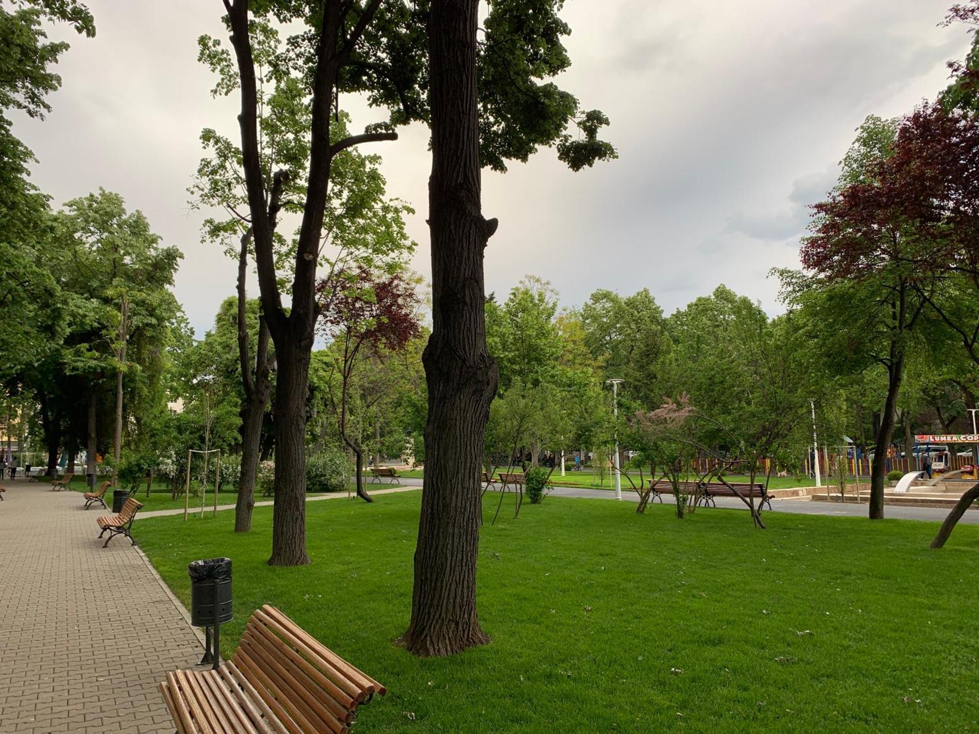Floreasca Bach Apartment *