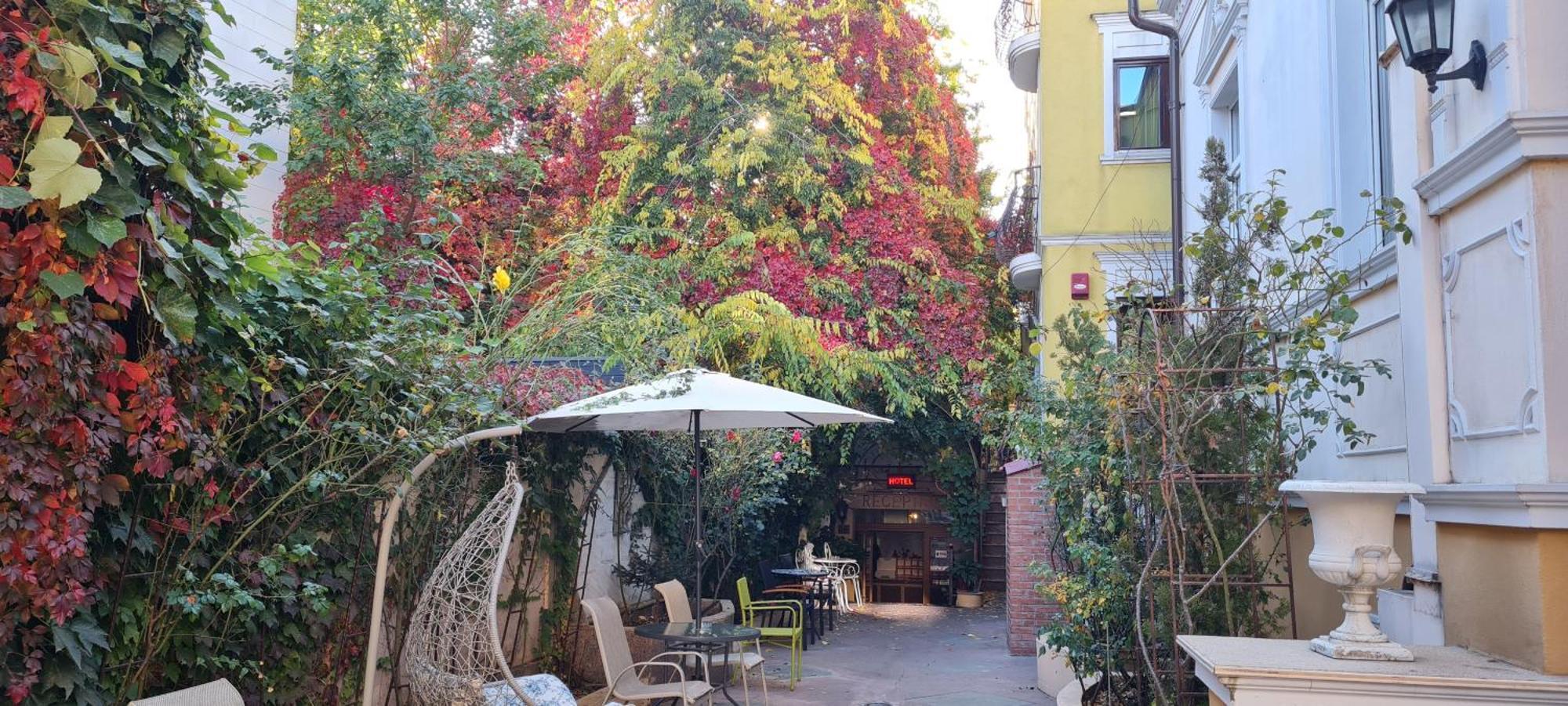 Casa Michelangelo Guest house Bucharest