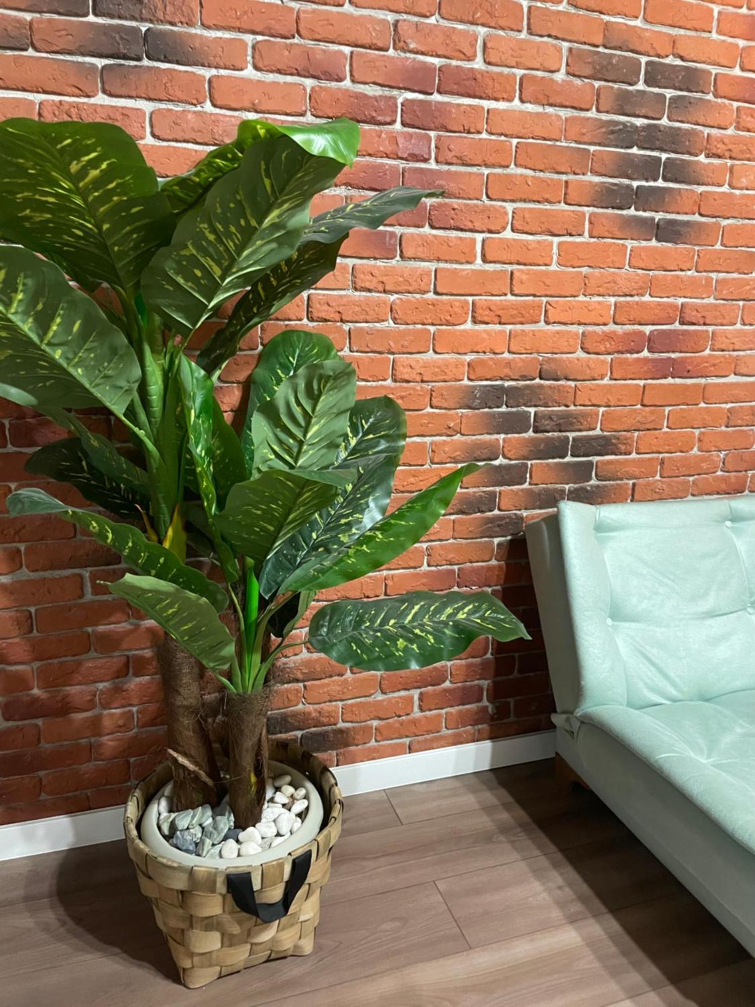 Apartamento Casawanderful