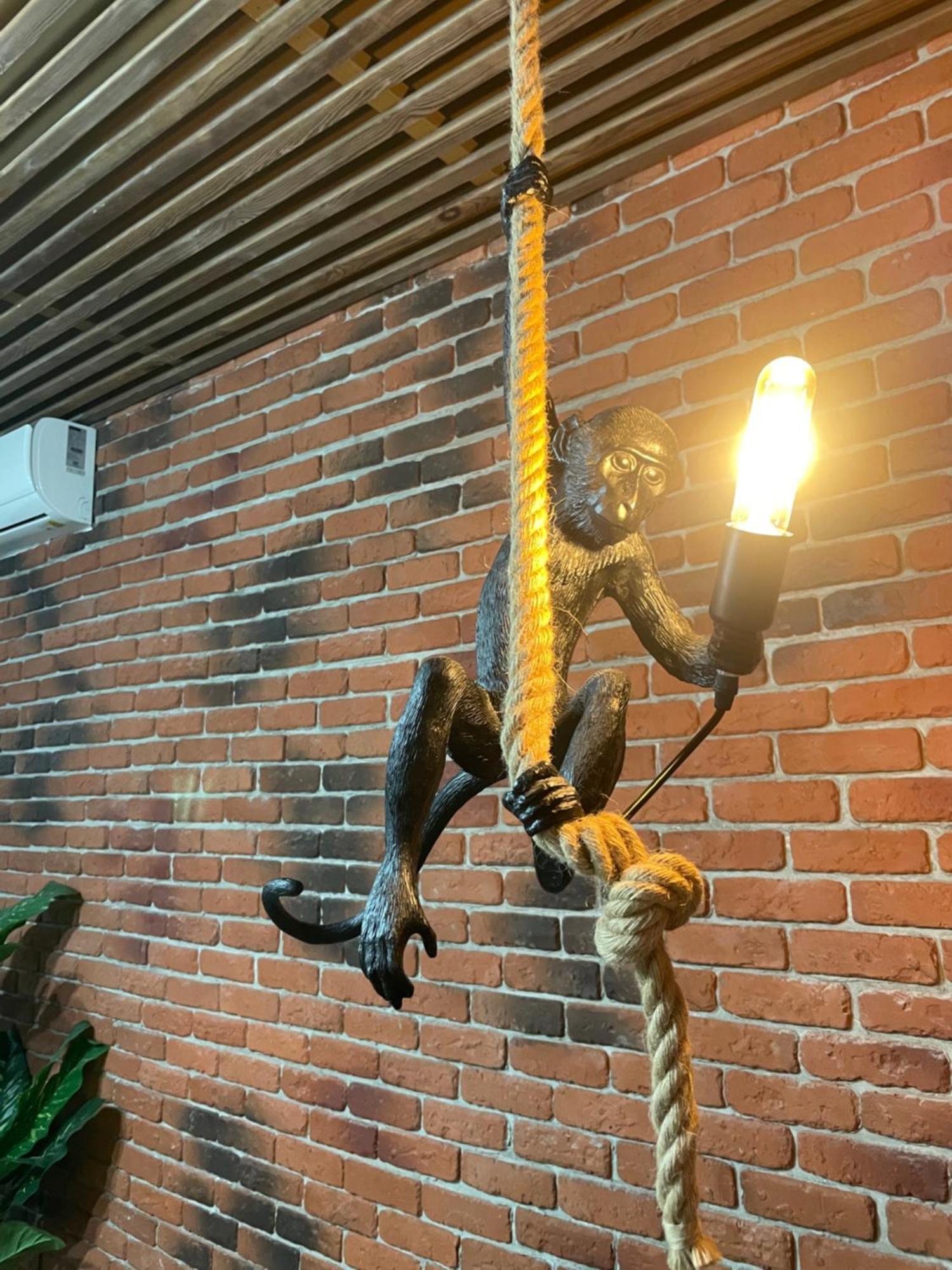 Casawanderful Bucareste