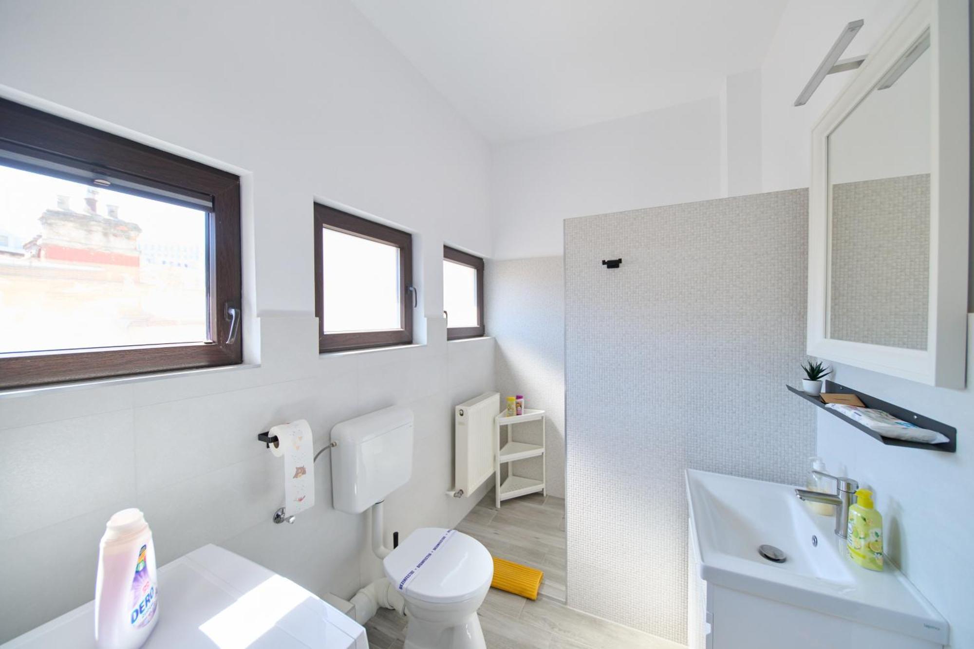 Apartament Old Town Oasis - Ap 6 Bucureşti