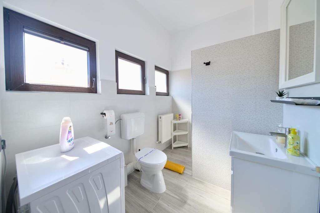 Apartament Old Town Oasis - Ap 6