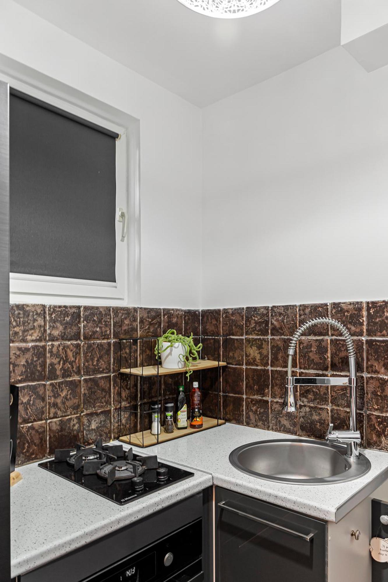 Apartment Sala Palatului