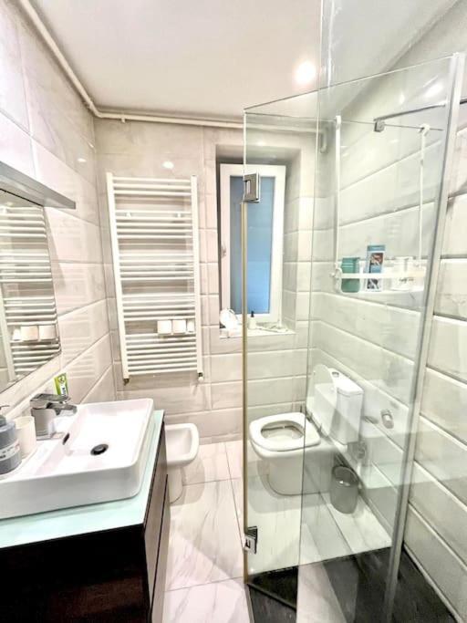 Lovely Victoriei Apartament Bucureşti