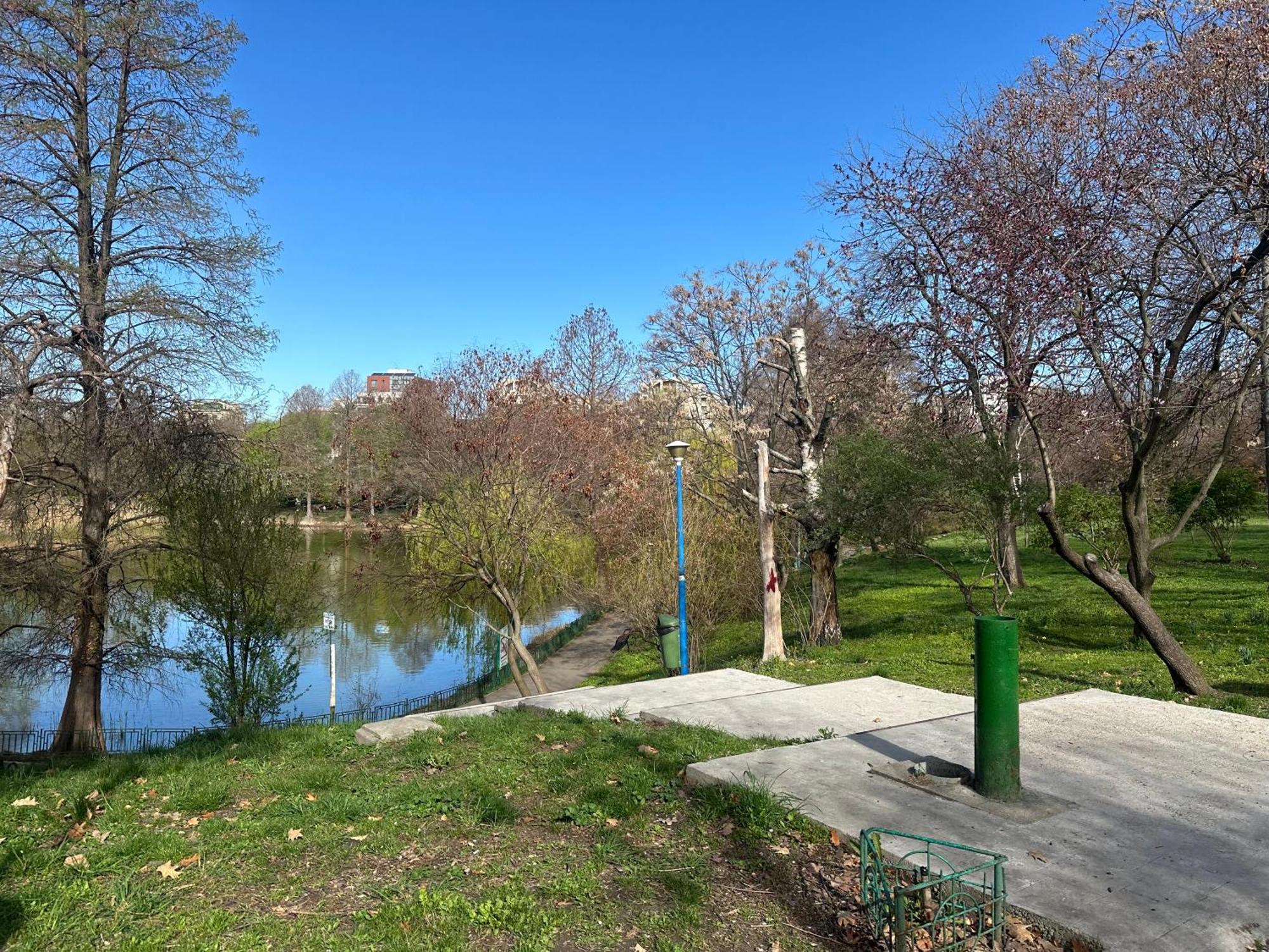 Obor Hidden Gem Bucharest