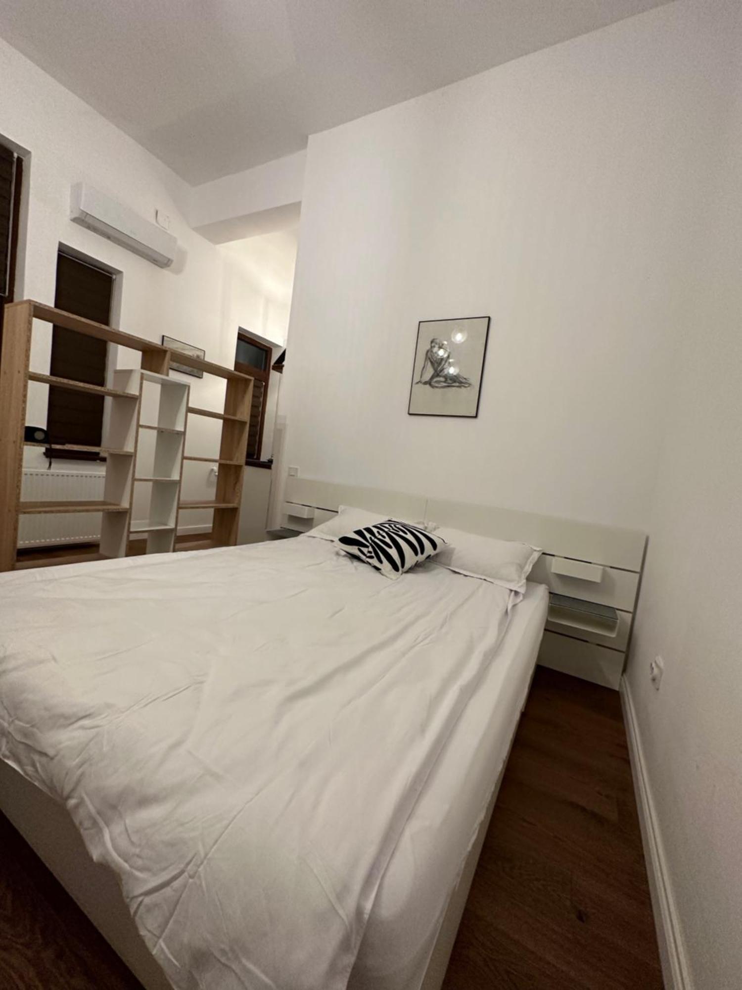 Apartment Cismigiu *
