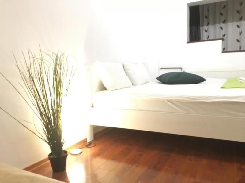 New 1 Apartment