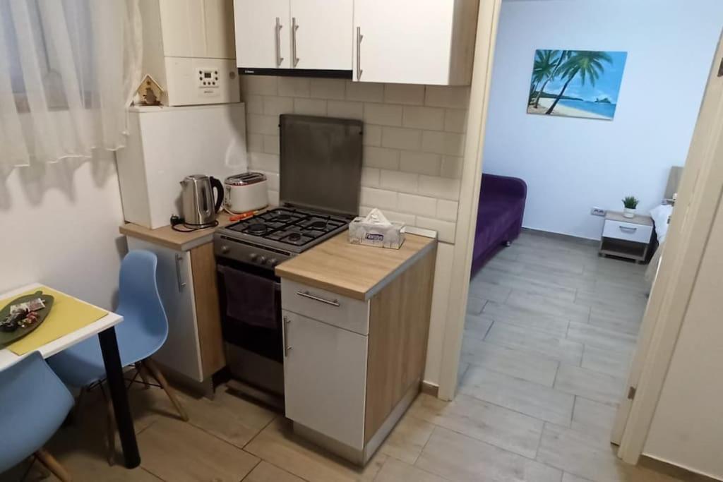 Apartment Chic Central, Cismigiu Park - Pop2 *