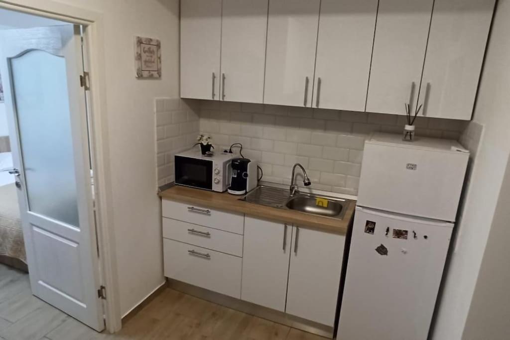 Apartment Chic Central, Cismigiu Park - Pop2 Bucharest