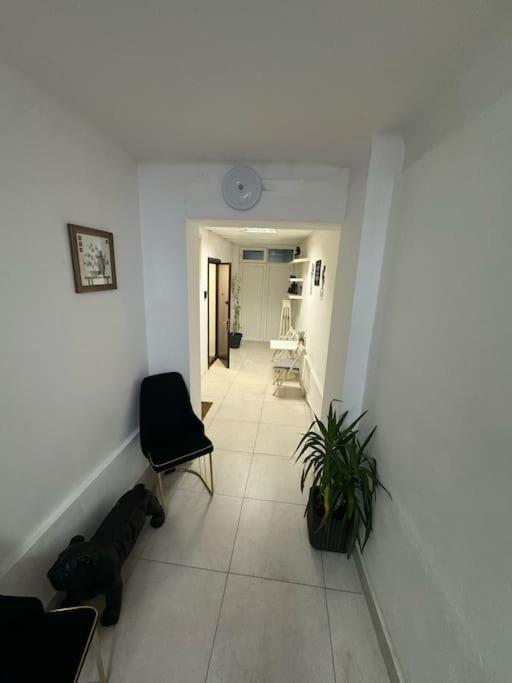 Apartament Happy Calea Victoriei Bucureşti