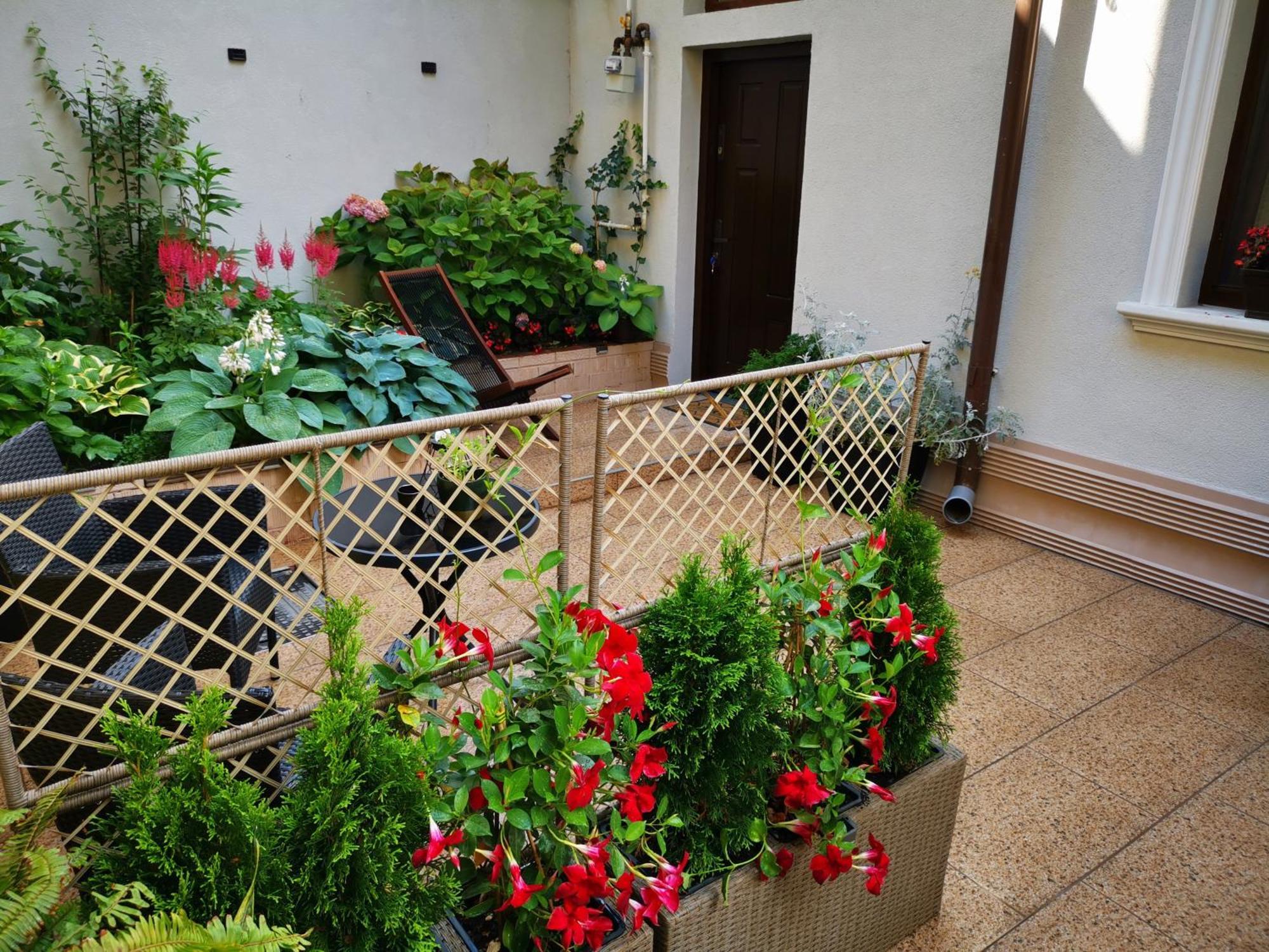 Cozy House Apartament