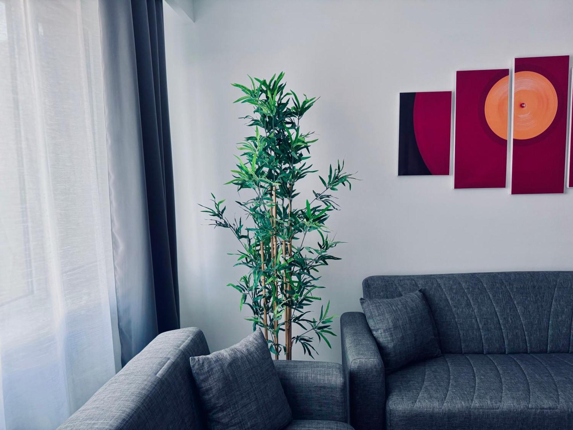 Unde Apartament Bucureşti