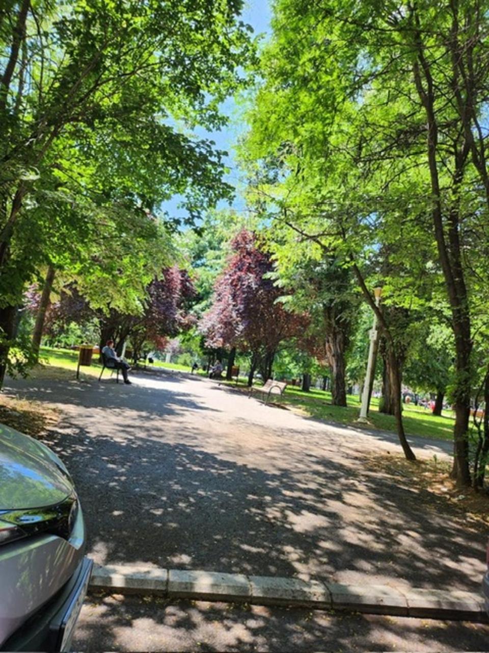 Apartment Exceptional - Gara De Nord Bucharest