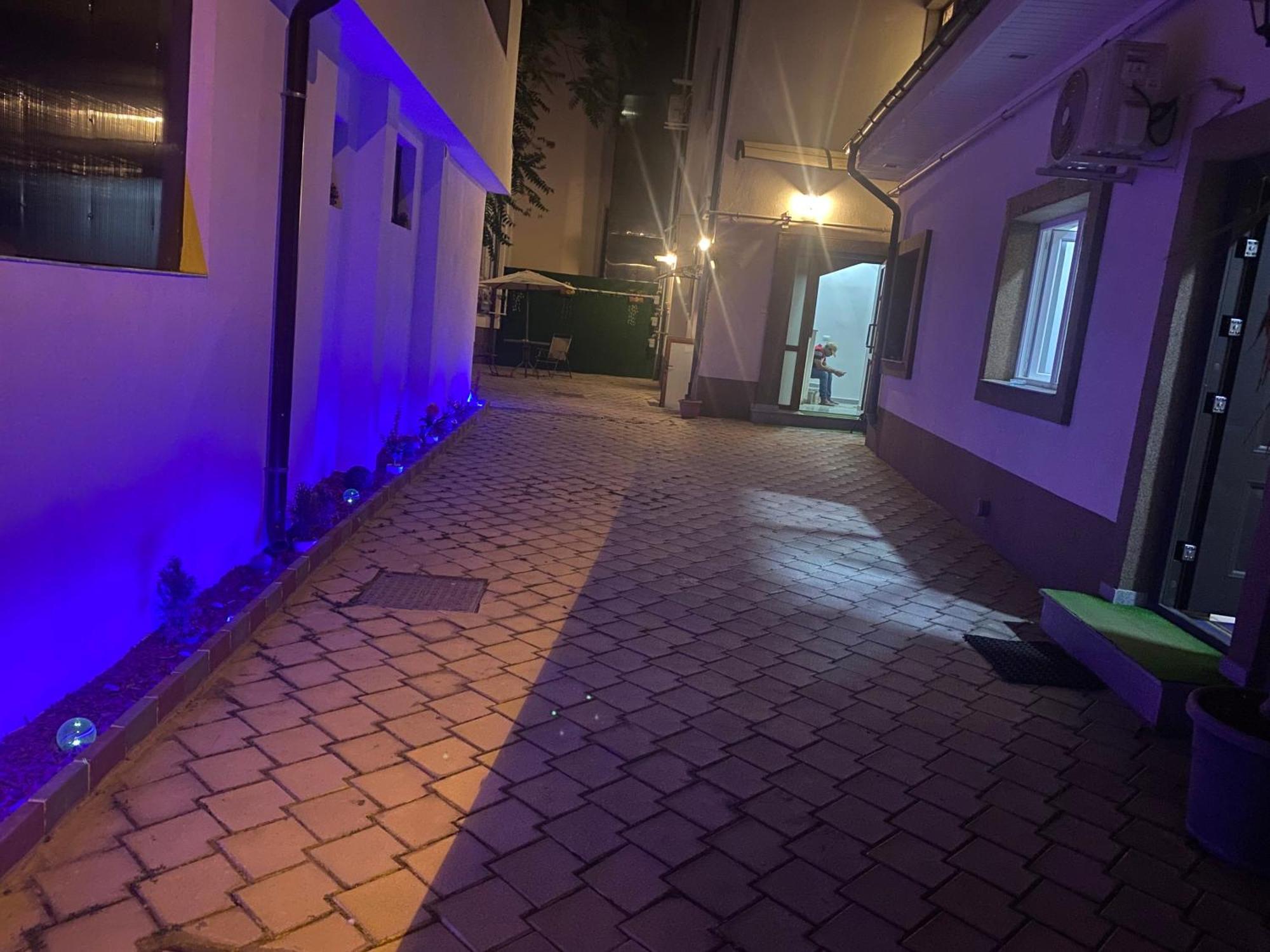 Cazan House Albergue Bucareste