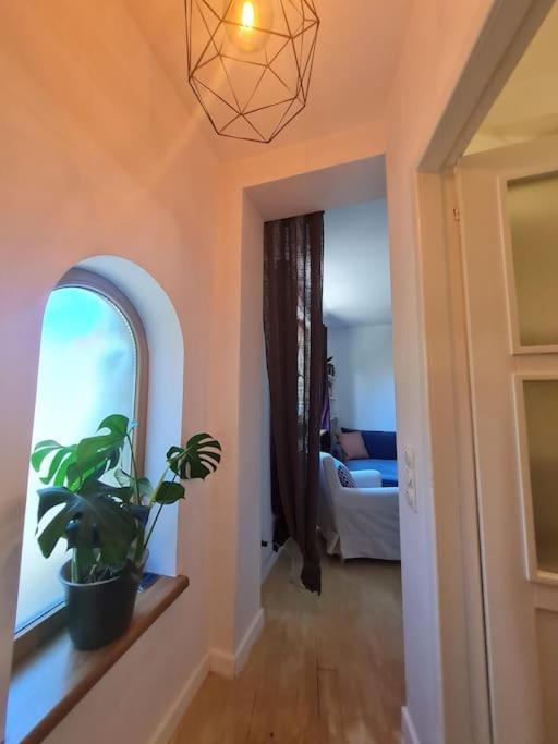 Apartamento Independent In A With Garden *