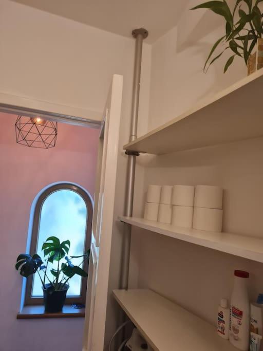 Independent In A With Garden Bucharest