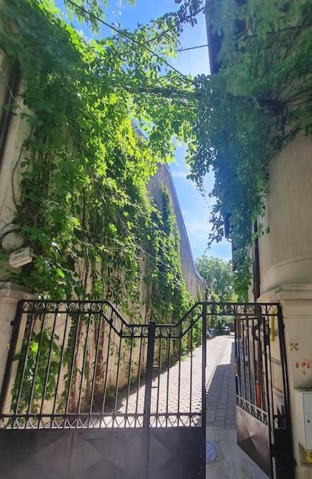 Independent In A With Garden Apartment Bucharest