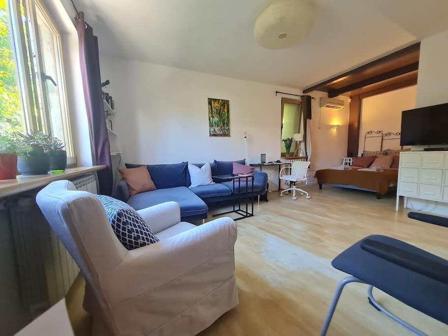 Independent In A With Garden Apartment Bucharest