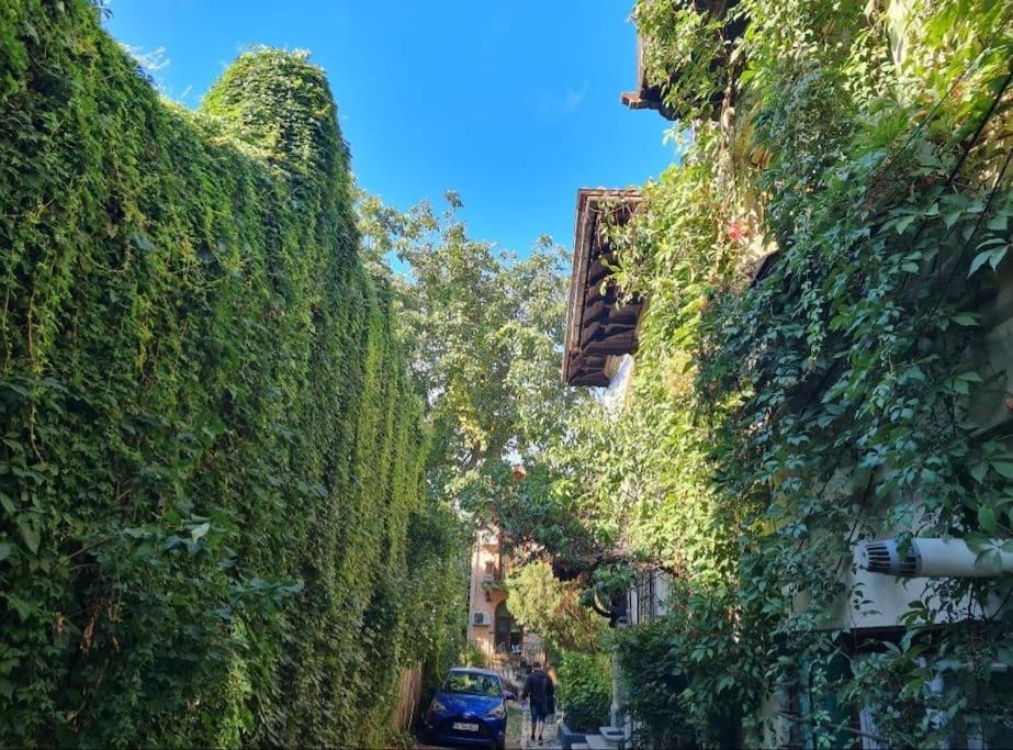 Apartamento Independent In A With Garden