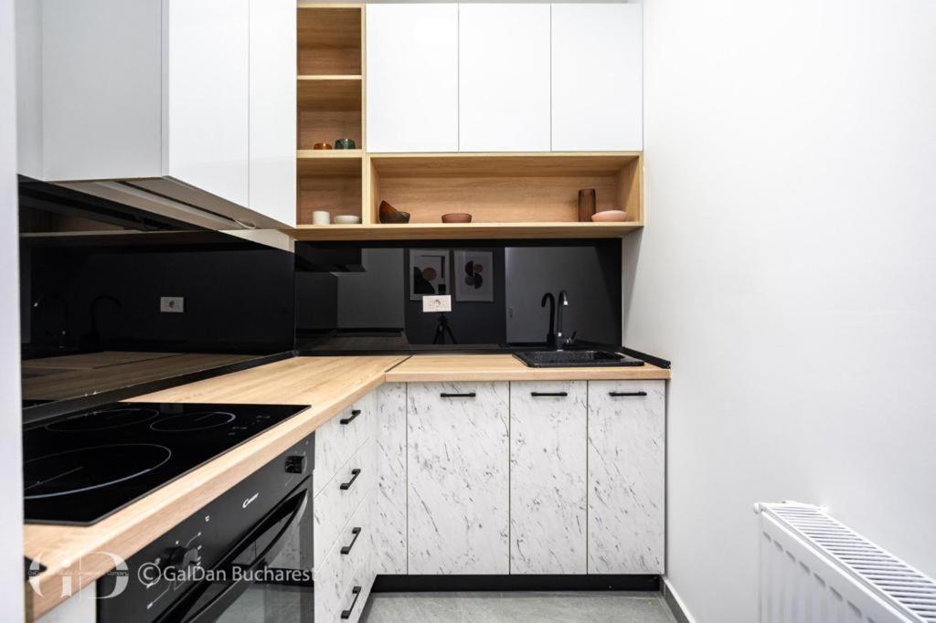 The Loft Luxury Apartments-near The Park In The Center Apartamento Bucareste