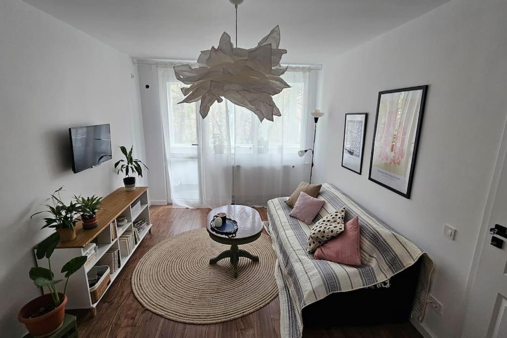 Modern Flat With A Boho Touch *