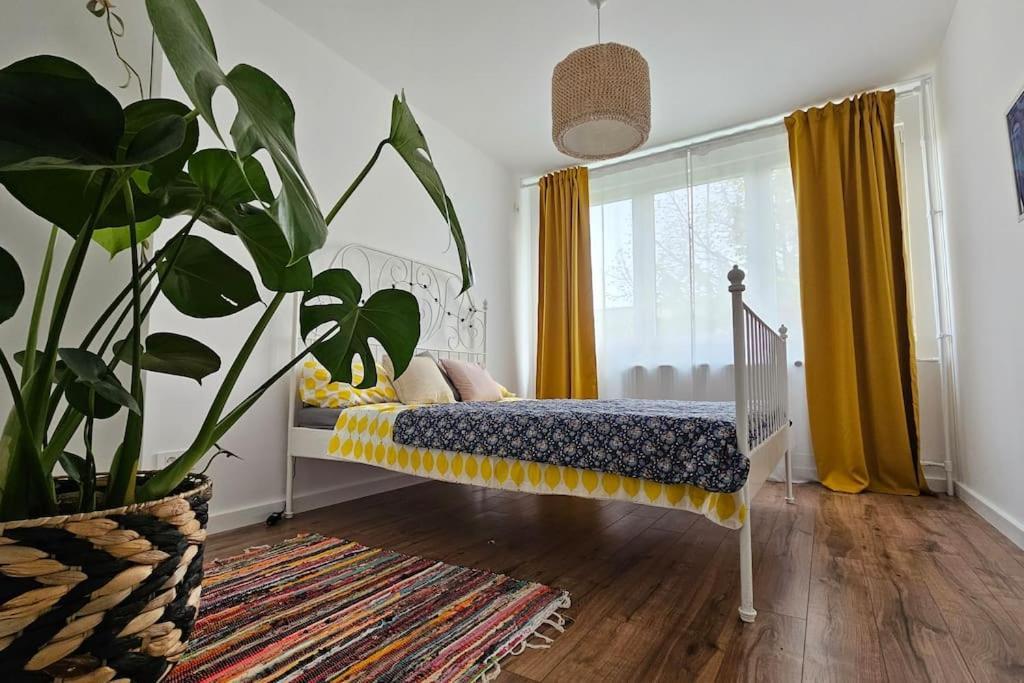 Apartment Modern Flat With A Boho Touch