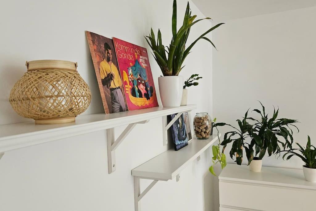 Modern Flat With A Boho Touch