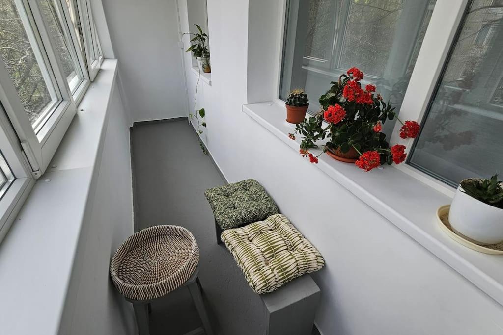 Modern Flat With A Boho Touch Bucharest
