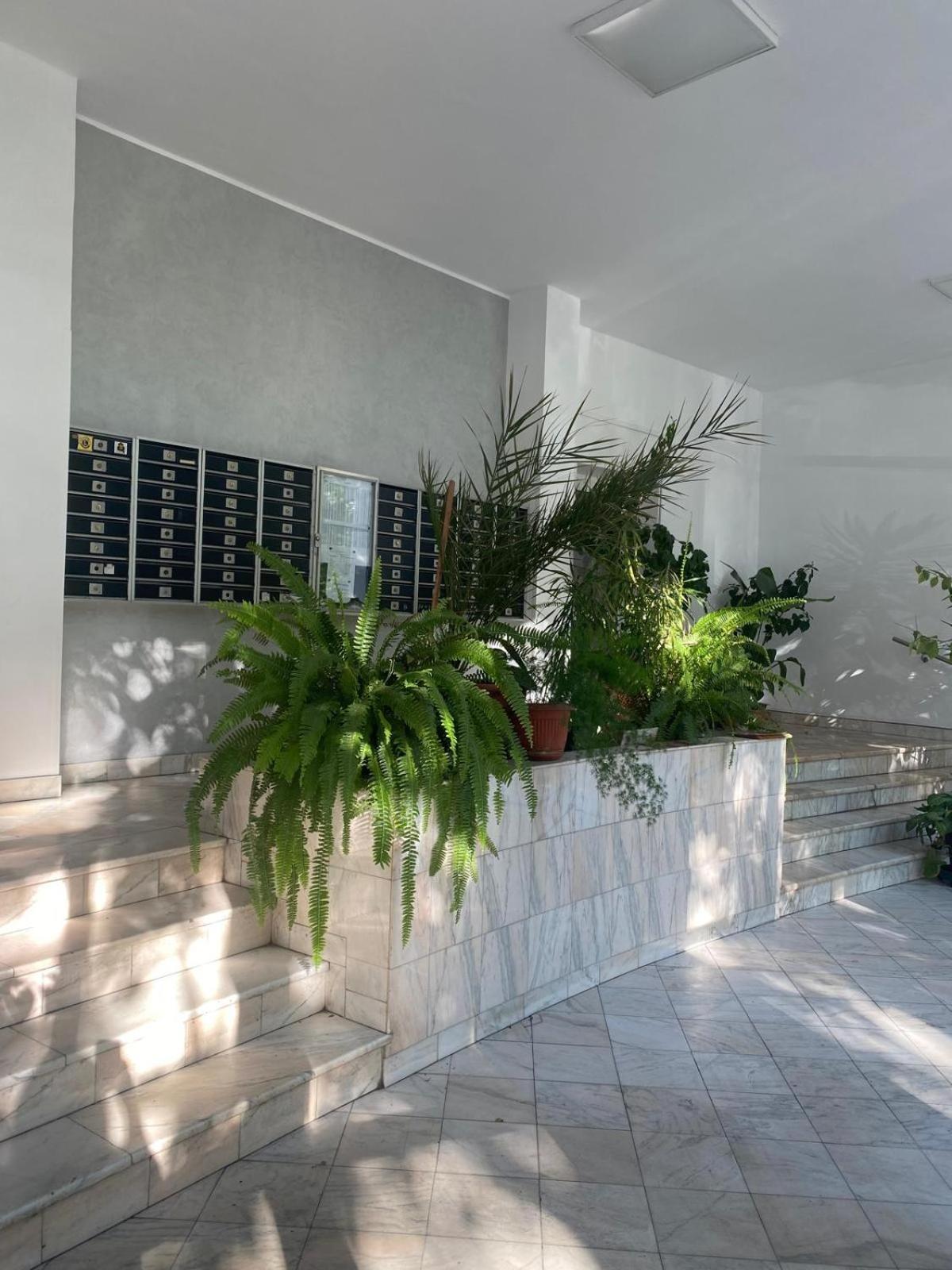 Ely Glow Decebal Piata Alba Iulia Apartamento