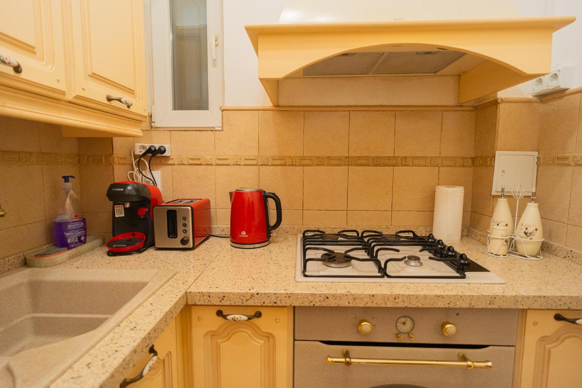 Apartament Classic Next To Victoriei Avenue *