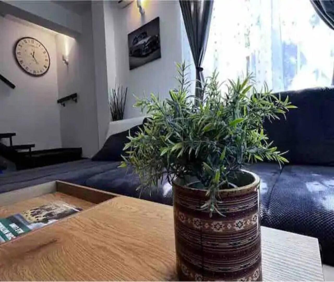 Luminoasa Cu Curte Privata Villa