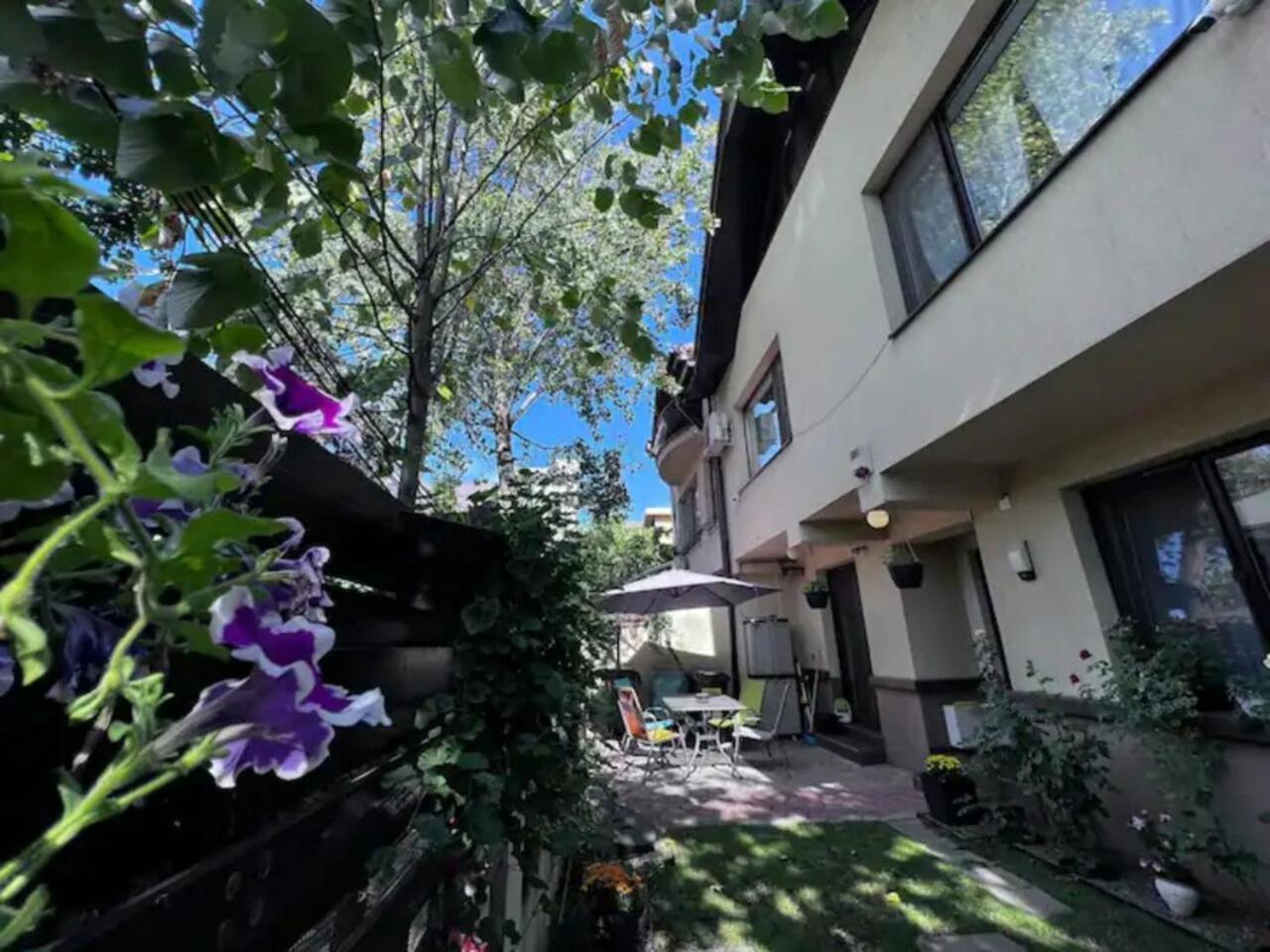 Villa Luminoasa Cu Curte Privata