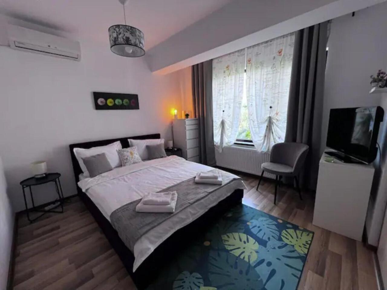 Villa Luminoasa Cu Curte Privata *