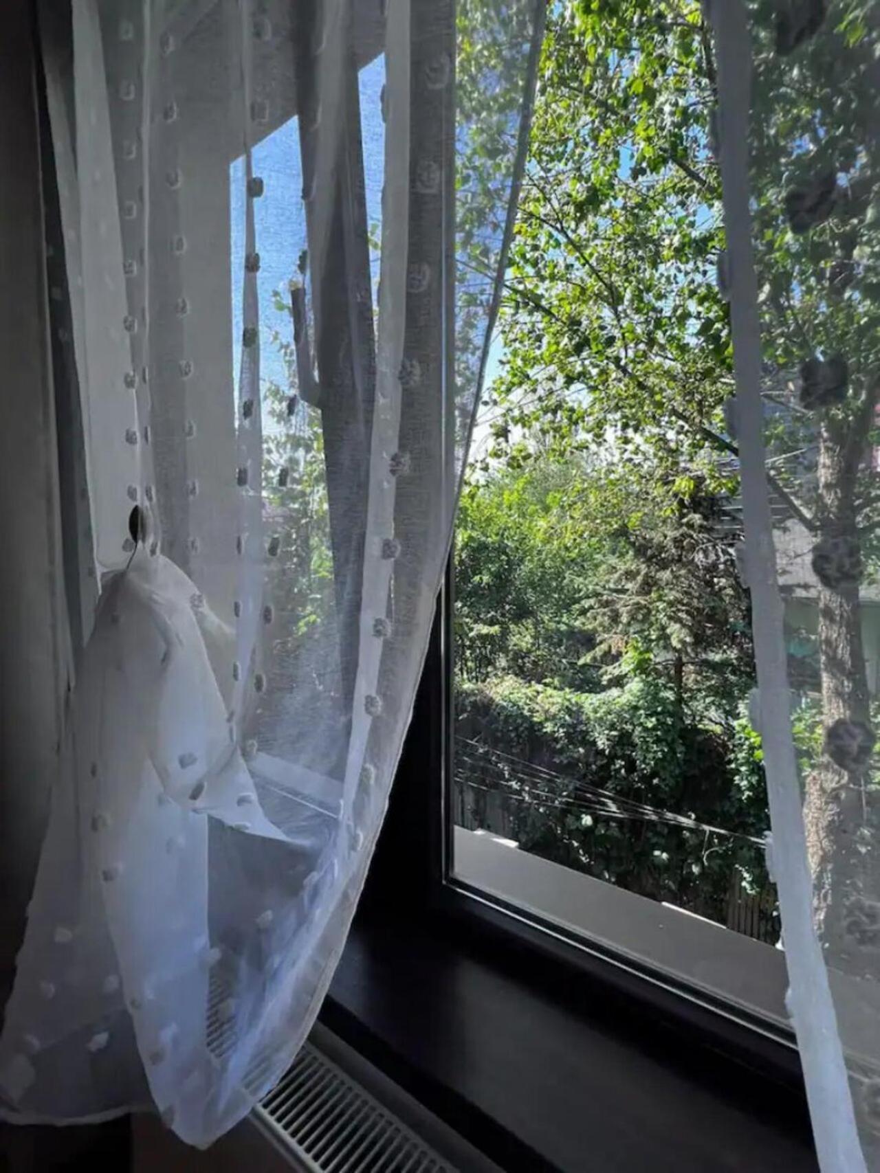 Luminoasa Cu Curte Privata Villa *
