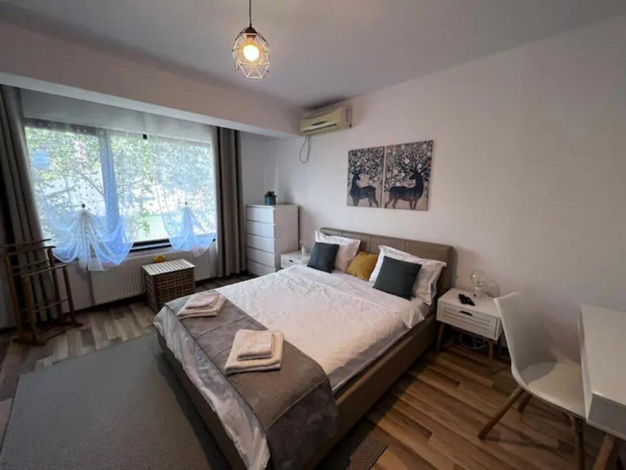 Luminoasa Cu Curte Privata Villa Bucharest